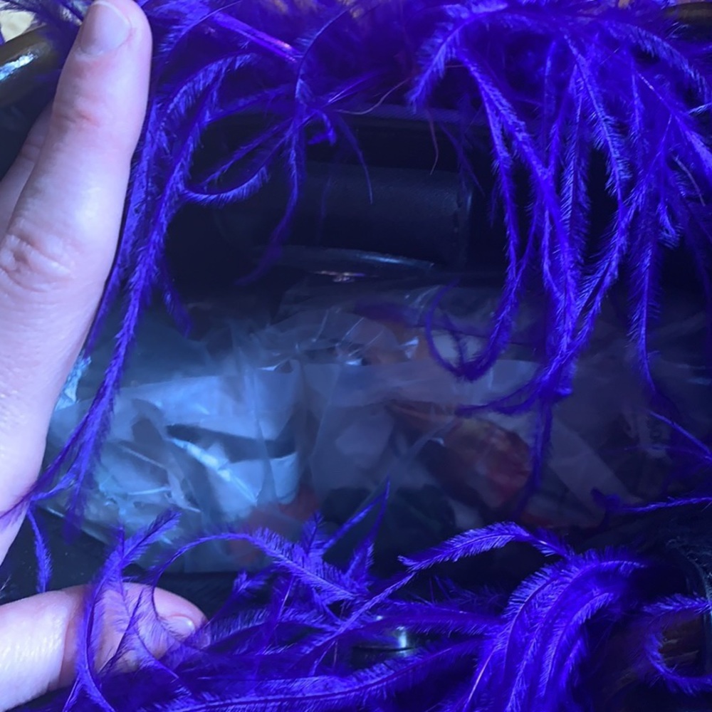 Ostrich Feather Purse- REAL!